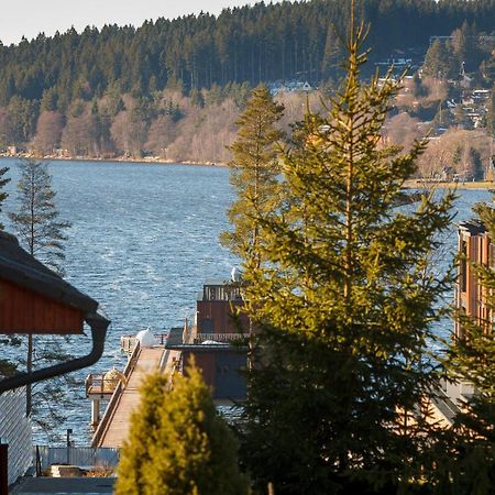 Vila Kubik Lipno Липно-над-Влтавой Экстерьер фото